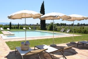 una piscina con 2 sombrillas y 2 sillas y una piscina en Agriturismo Poderedodici, en Orbetello