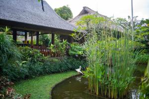 乌布Ananda Ubud Resort的鸟在建筑物前的池塘里