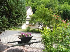 un jardín con una maceta de flores en un banco en fewo amendert, en Cochem