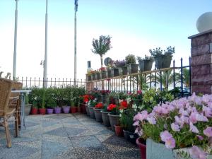 Un jardín fuera de Hotel Akti