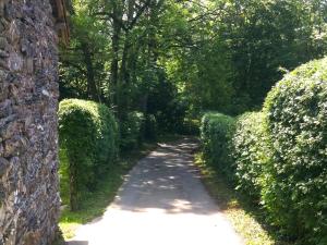 A garden outside Cosy Authentic Farmhouse - LaComte5