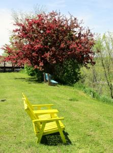 Gallery image of Tidal Bore Inn in Truro