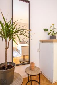 a potted plant in a room with a mirror at Via Del Centro in Sibiu