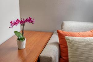 a table with a vase with purple flowers on it next to a couch at Hyatt Place Dallas/North Arlington/Grand Prairie in Arlington