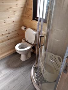 La salle de bains est pourvue de toilettes et d'une douche en verre. dans l'établissement shanagarry / Ballycotton Glamping pod, à Cork