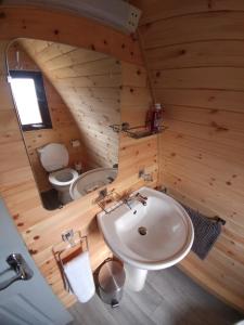 La salle de bains est pourvue d'un lavabo et de toilettes. dans l'établissement shanagarry / Ballycotton Glamping pod, à Cork