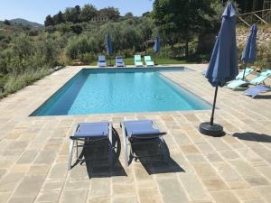 een zwembad met 2 stoelen en een parasol bij Agriturismo San Martino in Quarrata