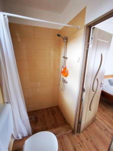 a small bathroom with a shower and a door at Air&Day in Vecsés