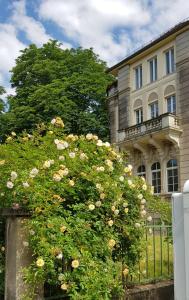 Zahrada ubytování Hotel-Villa Lalee