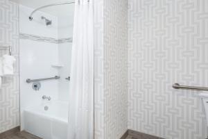 Ένα μπάνιο στο Holiday Inn Washington-College Pk I-95