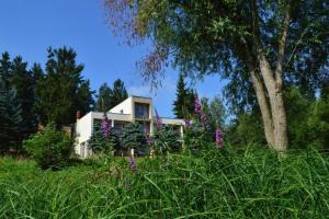 una casa in mezzo a un campo con fiori viola di Pod hradem Cornštejn a Oslnovice