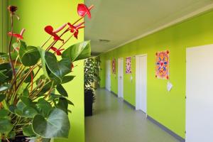 a hallway with green walls and a plant at College Garden Hotel in Bad Vöslau