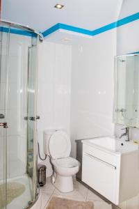 een badkamer met een toilet, een douche en een wastafel bij LT Aparthotel in Praia