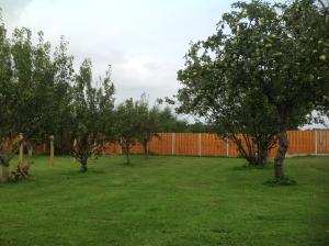 uma fileira de macieiras num quintal com uma cerca laranja em Orme View Lodges em Bangor