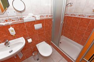 a bathroom with a toilet and a sink and a shower at Hotel Katharina Garni in Tübingen