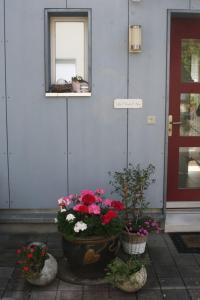 un grupo de flores frente a una casa en Gartenzimmer, en Rubigen