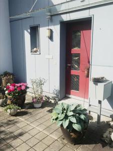 una casa con macetas delante de una puerta roja en Gartenzimmer, en Rubigen