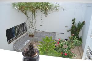 Tunisia Queen Apartment室外花園