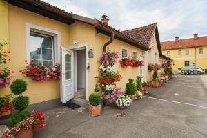 En hage utenfor AusZeit Leoben 1 mit Terasse und gratis Parkplatz