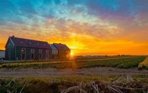 El amanecer o atardecer visto desde el bed and breakfast