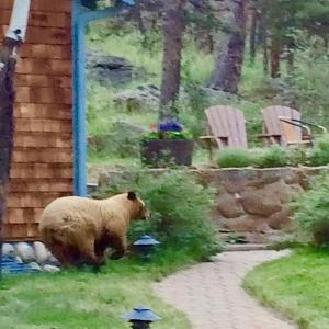 Foto sihtkohas Estes Park asuva majutusasutuse Romantic RiverSong Inn galeriist