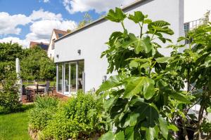 Casa bianca con giardino e patio di Ferienwohnung im Paradiesgarten a Deidesheim