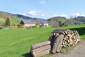 una pila de troncos en un campo con una casa en el fondo en Gîte Les 4 Saisons, en Orbey