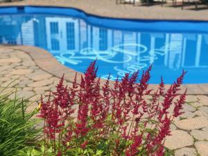 Swimming pool sa o malapit sa Relais St-Denis