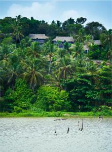 Phong cảnh thiên nhiên gần resort