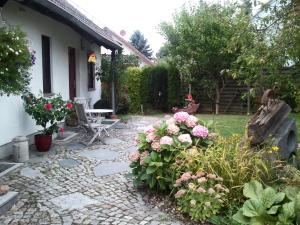 Vrt u objektu Ferienwohnung Sonne-Stadtrand Dresden