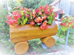 een plant met bloemen op een boomstam bij Ferienwohnung Baacke in Ruhla