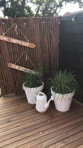 deux plantes en pot assises sur une terrasse avec un panneau de fête dans l'établissement Bergenshofje, à Bergen