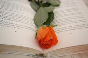 une rose assise sur un livre ouvert dans l'établissement Haus Sonnenhang, à Sölden