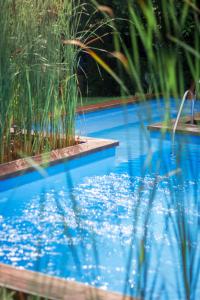 ein Pool mit blauem Wasser und etwas hohes Gras in der Unterkunft Renegade Hotel in Siófok