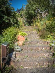 een stenen pad in een tuin met een bankje erop bij Antel 42 in Andernach