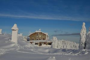 une maison recouverte de neige avec des arbres au premier plan dans l'établissement Chata Jiriho na Seraku, à Bělá pod Pradědem