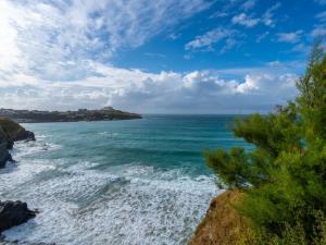 - une vue sur l'océan depuis une falaise dans l'établissement Bambu Cottage, à Newquay