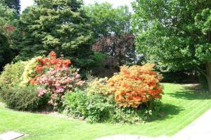 Garden sa labas ng The oaklands hotel