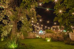 - un jardin éclairé la nuit avec des lumières dans l'établissement Agriturismo Li Calizzi Arte e Natura, à Novoli