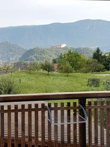 eine Holzbank mit Blick auf ein Feld in der Unterkunft Garden Apartments Maria in Bled