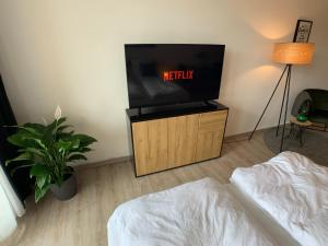 Телевизор и/или развлекательный центр в Komfortables Apartment in Bad Elster mit Netflix