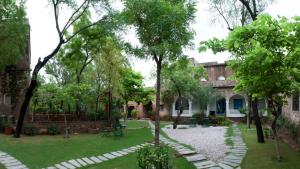 A garden outside Neemrana's - Hill Fort - Kesroli