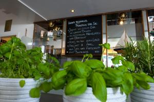 Foto dalla galleria di Hotel Am Stadtpark a Buxtehude