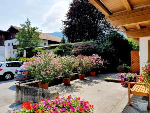 um ramo de flores em vasos num quintal em Landgasthof "Wilder Mann" em Innsbruck