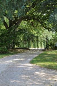 Foto de la galería de Château De La Frogerie en Maulévrier