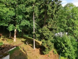 una vista aérea de un parque con árboles y un poste en Parkhotel Forest, en Mariánské Lázně