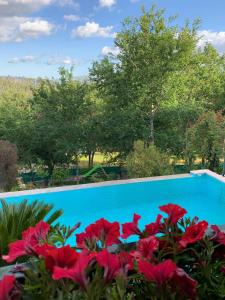 The swimming pool at or close to Quinta Paraíso do Ermal