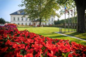 un campo de flores rojas frente a una casa blanca en Zámeček Petrovice, en Petrovice u Karviné