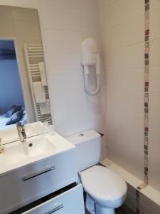 a bathroom with a toilet and a sink and a mirror at Hôtel-restaurant Les Colonnades in Saint-Fulgent