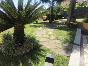 un jardin avec un palmier et un sentier dans l'établissement Zeza´s Garden, à Calheta